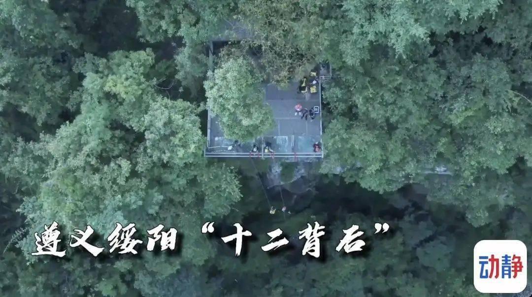 高级定制