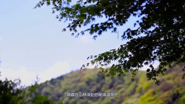 从哪里来？绍兴男子丢失记忆如坠迷雾，民警5省排查帮他找回家人