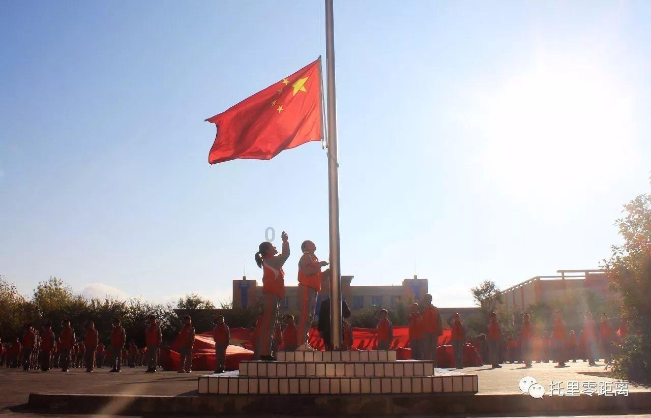 逃离仿真森林